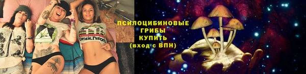 не бодяженный Медногорск