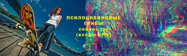твердый Медвежьегорск